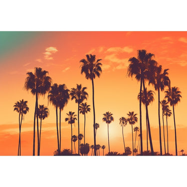 Palm Tree Silhouette Sunset canvas